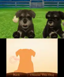 Image n° 1 - screenshots : Nintendogs + Cats - Toy Poodle & New Friends